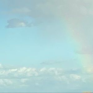 Meet your Posher, Daysha